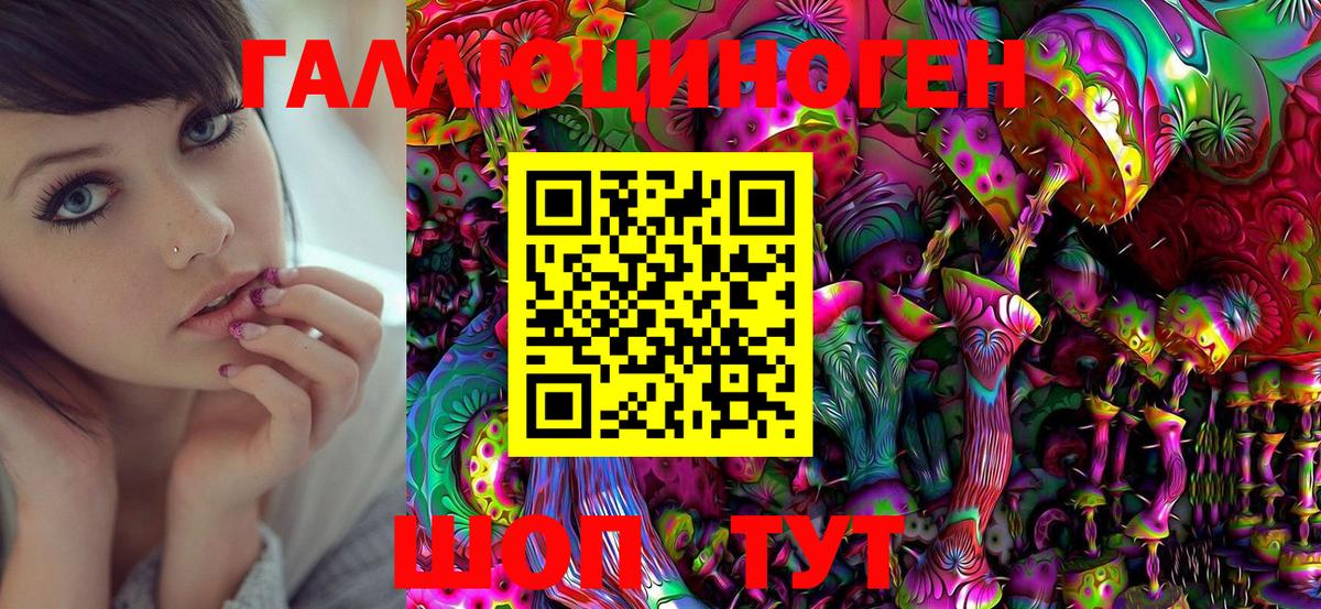 Галлюциногенные грибы Psilocybe Артём