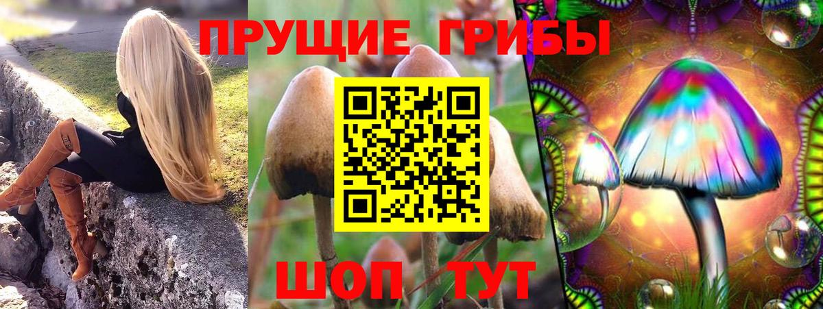 Артём  Галлюциногенные грибы GOLDEN TEACHER  Вход с VPN  Галлюциногенные грибы ЛСД 